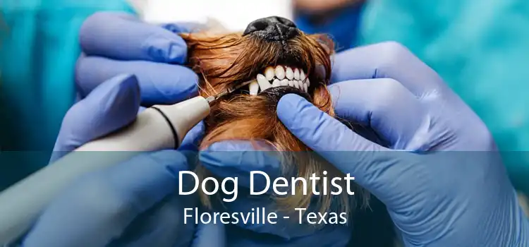 Dog Dentist Floresville - Texas