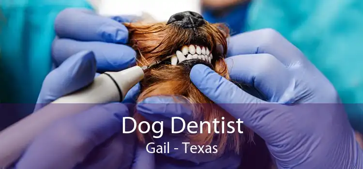 Dog Dentist Gail - Texas