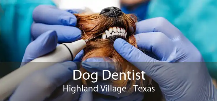 Dog Dentist Highland Village - Texas