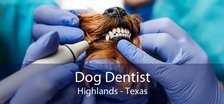 Dog Dentist Highlands - Texas