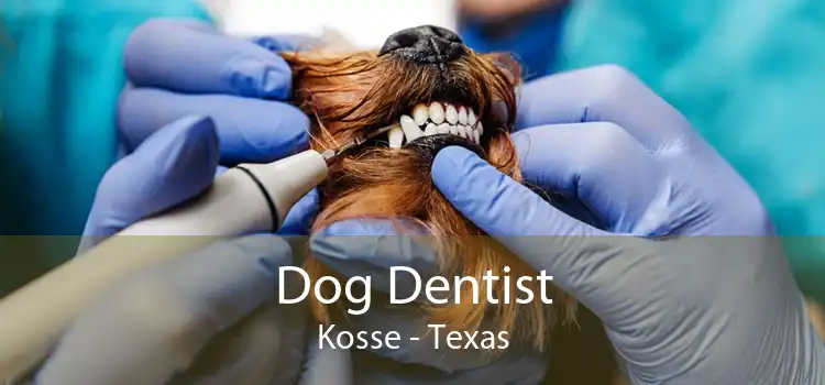 Dog Dentist Kosse - Texas