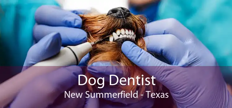 Dog Dentist New Summerfield - Texas