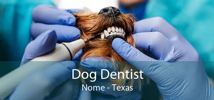 Dog Dentist Nome - Texas