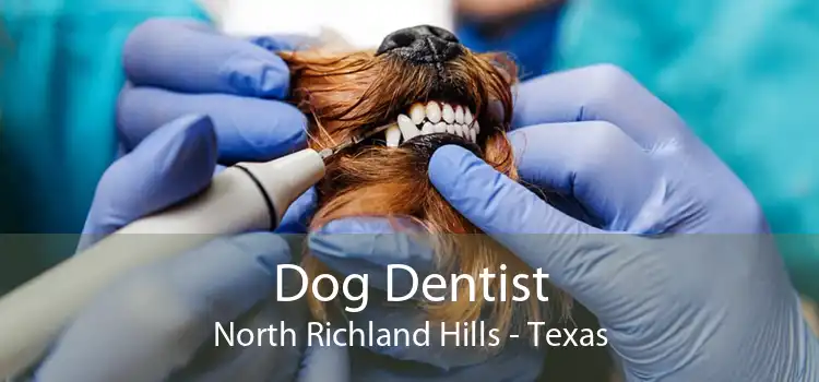 Dog Dentist North Richland Hills - Texas