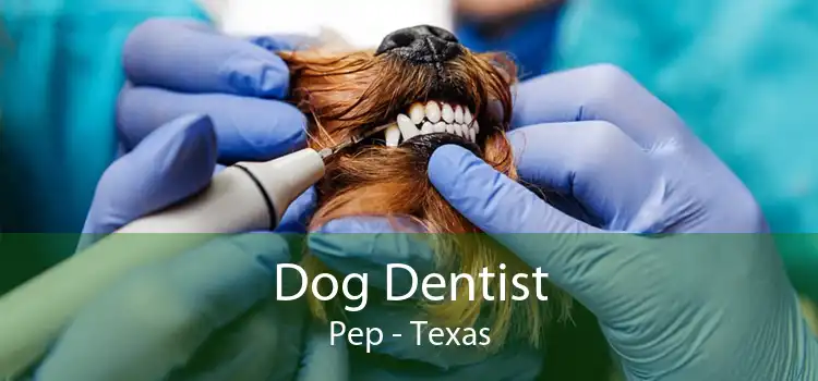 Dog Dentist Pep - Texas