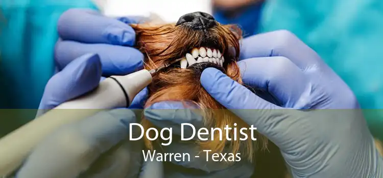 Dog Dentist Warren - Texas