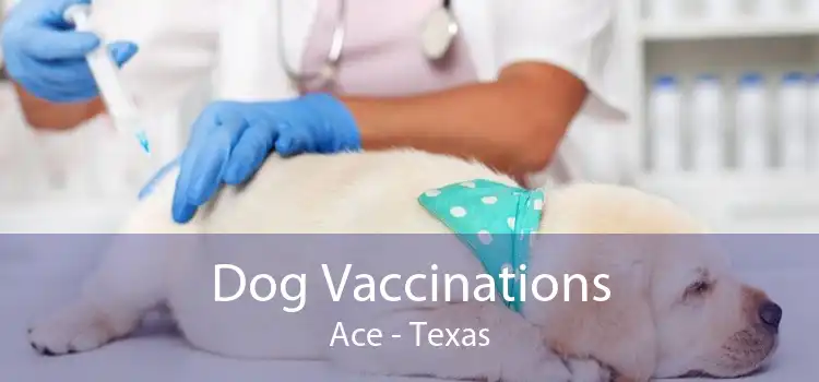 Dog Vaccinations Ace - Texas