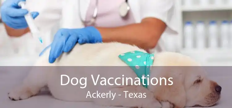 Dog Vaccinations Ackerly - Texas