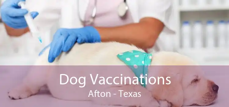 Dog Vaccinations Afton - Texas