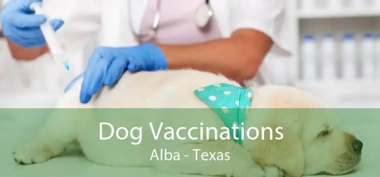 Dog Vaccinations Alba - Texas