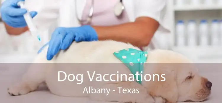 Dog Vaccinations Albany - Texas