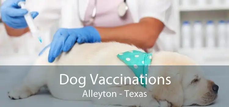 Dog Vaccinations Alleyton - Texas