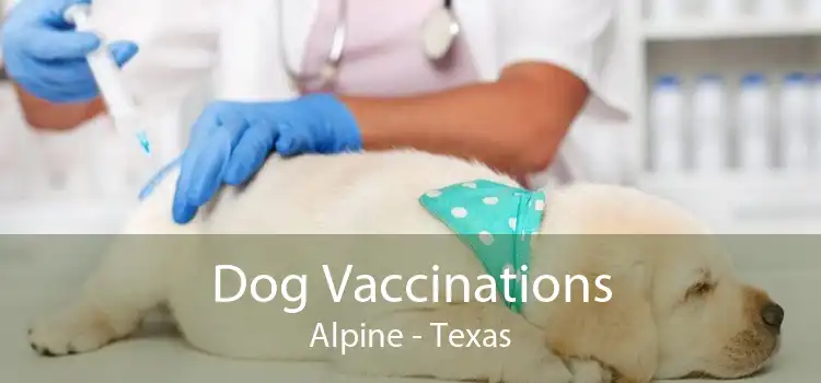 Dog Vaccinations Alpine - Texas