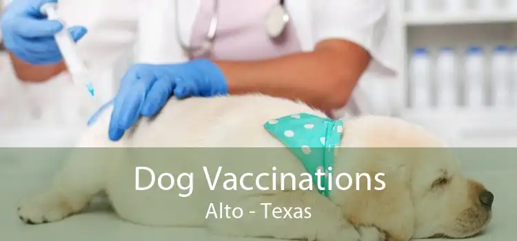 Dog Vaccinations Alto - Texas