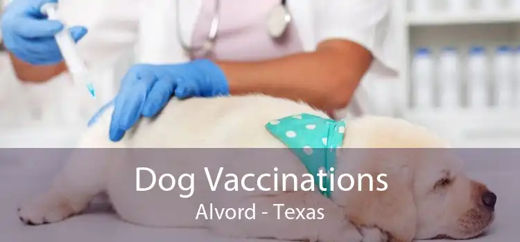 Dog Vaccinations Alvord - Texas