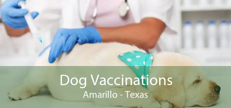 Dog Vaccinations Amarillo - Texas