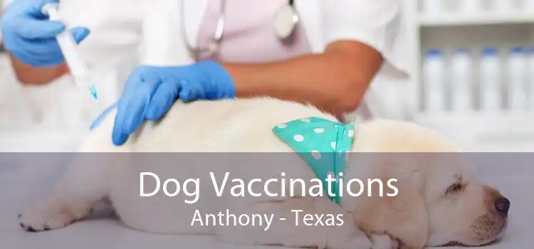 Dog Vaccinations Anthony - Texas