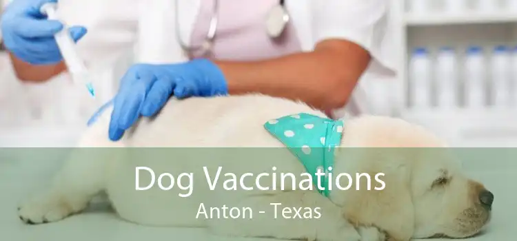 Dog Vaccinations Anton - Texas