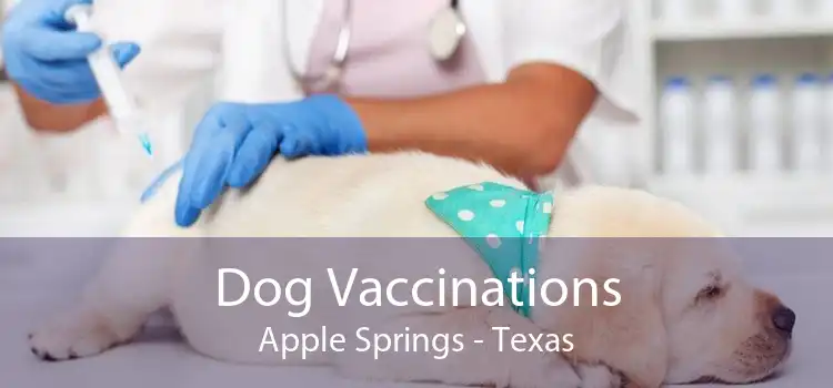 Dog Vaccinations Apple Springs - Texas