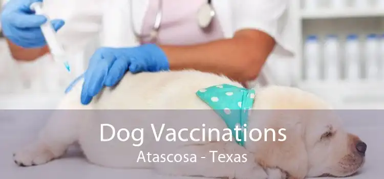 Dog Vaccinations Atascosa - Texas