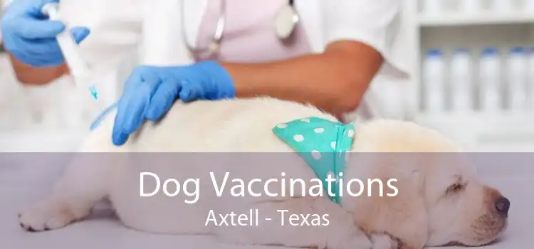 Dog Vaccinations Axtell - Texas