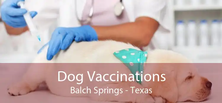 Dog Vaccinations Balch Springs - Texas