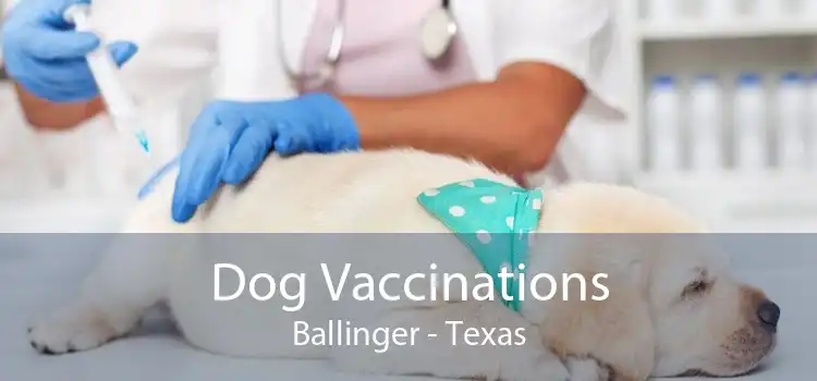 Dog Vaccinations Ballinger - Texas