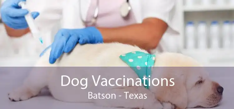 Dog Vaccinations Batson - Texas