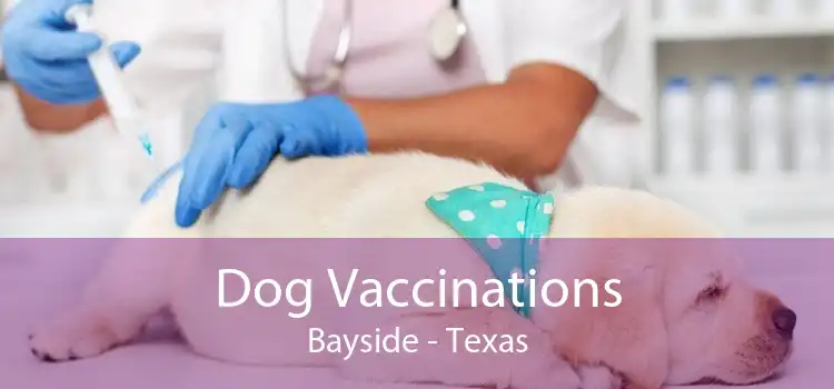 Dog Vaccinations Bayside - Texas