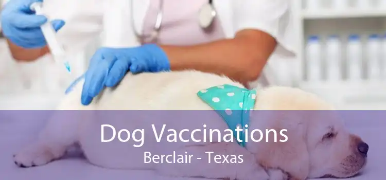 Dog Vaccinations Berclair - Texas