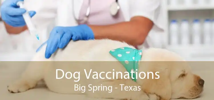 Dog Vaccinations Big Spring - Texas
