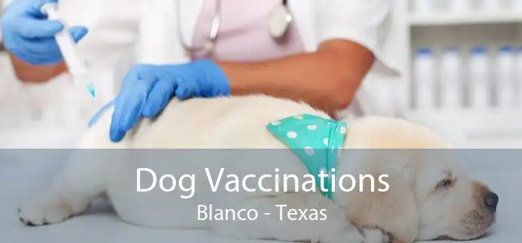 Dog Vaccinations Blanco - Texas