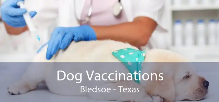 Dog Vaccinations Bledsoe - Texas