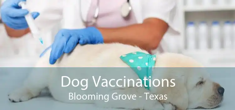 Dog Vaccinations Blooming Grove - Texas