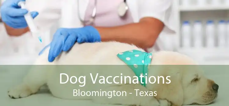 Dog Vaccinations Bloomington - Texas