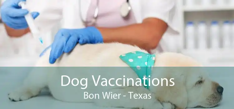 Dog Vaccinations Bon Wier - Texas