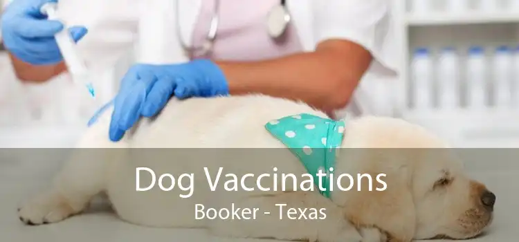 Dog Vaccinations Booker - Texas