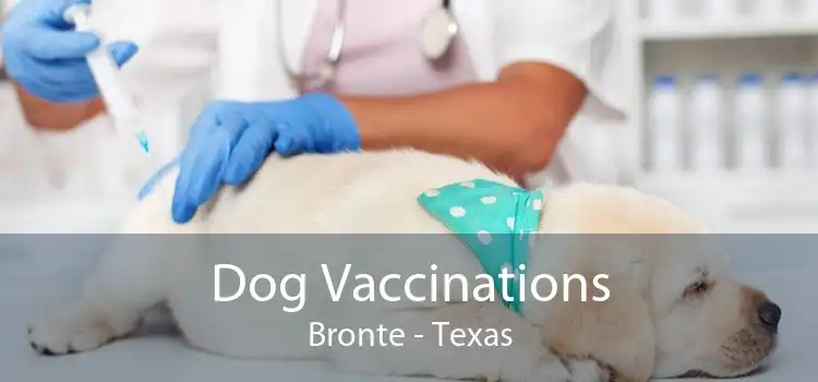 Dog Vaccinations Bronte - Texas