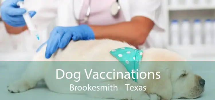 Dog Vaccinations Brookesmith - Texas