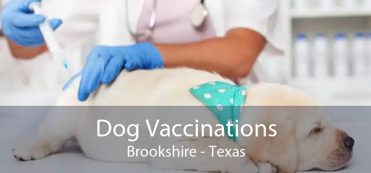 Dog Vaccinations Brookshire - Texas