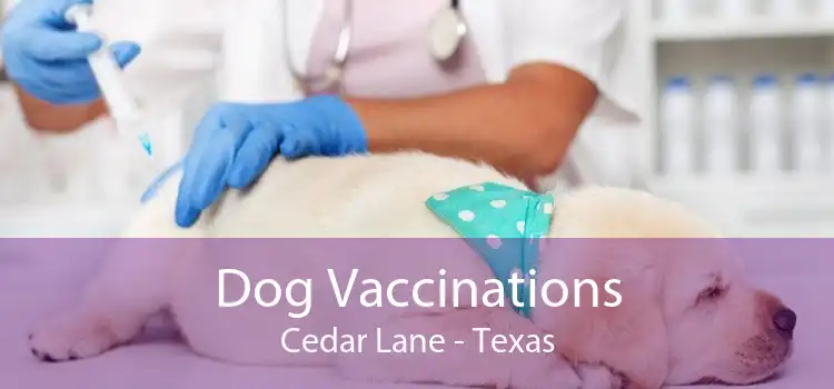 Dog Vaccinations Cedar Lane - Texas