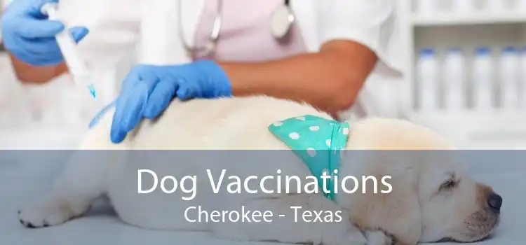 Dog Vaccinations Cherokee - Texas