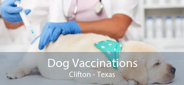 Dog Vaccinations Clifton - Texas