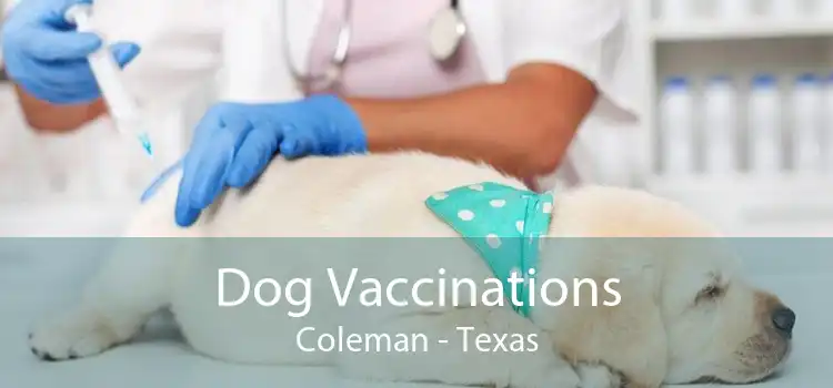 Dog Vaccinations Coleman - Texas