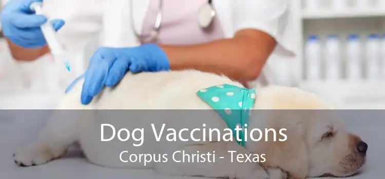 Dog Vaccinations Corpus Christi - Texas