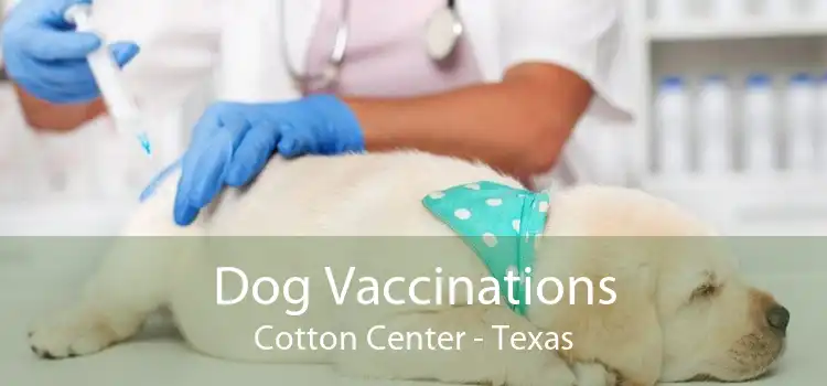 Dog Vaccinations Cotton Center - Texas