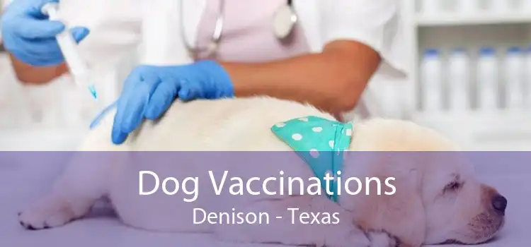Dog Vaccinations Denison - Texas