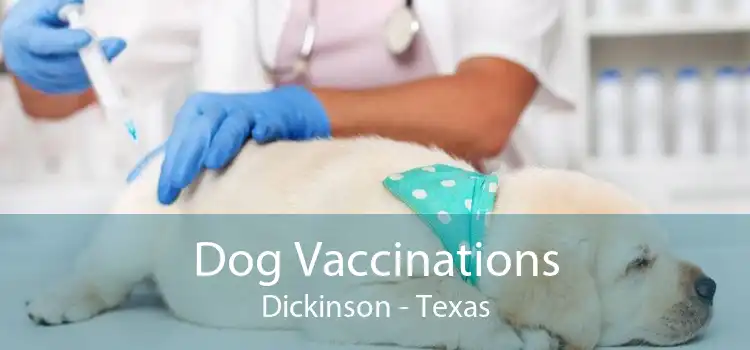 Dog Vaccinations Dickinson - Texas