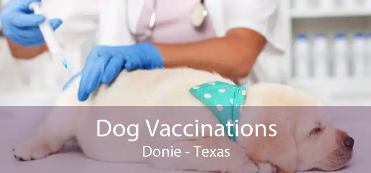 Dog Vaccinations Donie - Texas