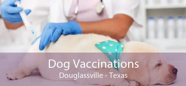 Dog Vaccinations Douglassville - Texas